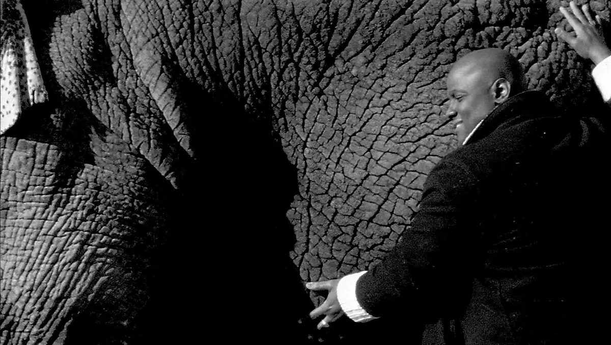 Monografía: Javier Téllez — imagen 9