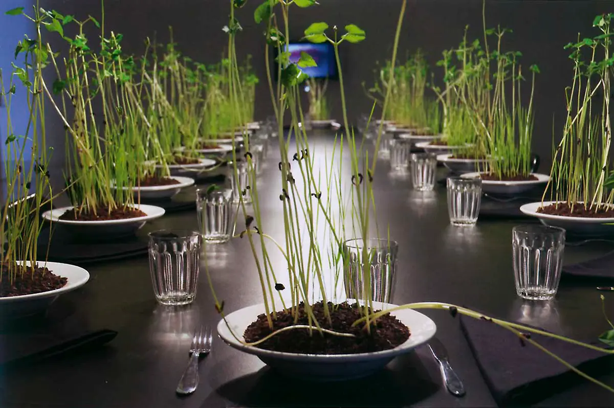 Bienal: The 29th São Paulo Biennial — imagen 2