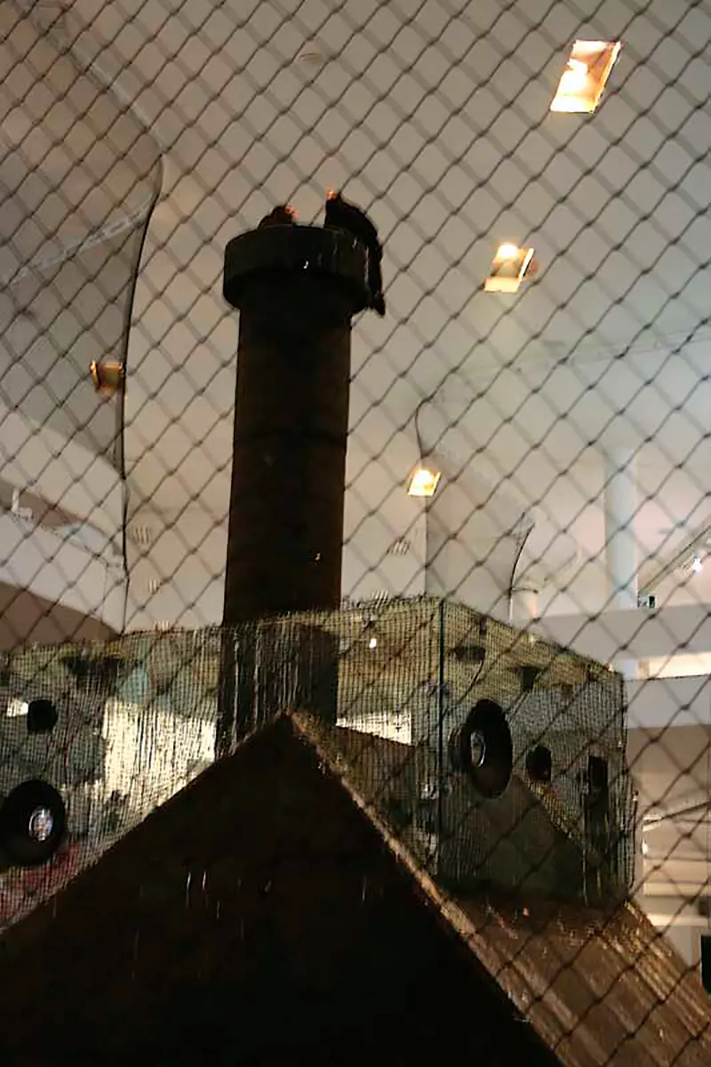 Bienal: The 29th São Paulo Biennial — imagen 13