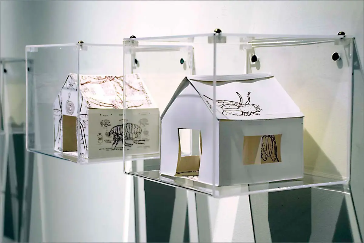 Exposición Individual: Graciela Olio y Marcela Cabutti — imagen 2
