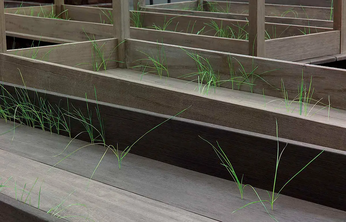 Instalación: Doris Salcedo — imagen 1