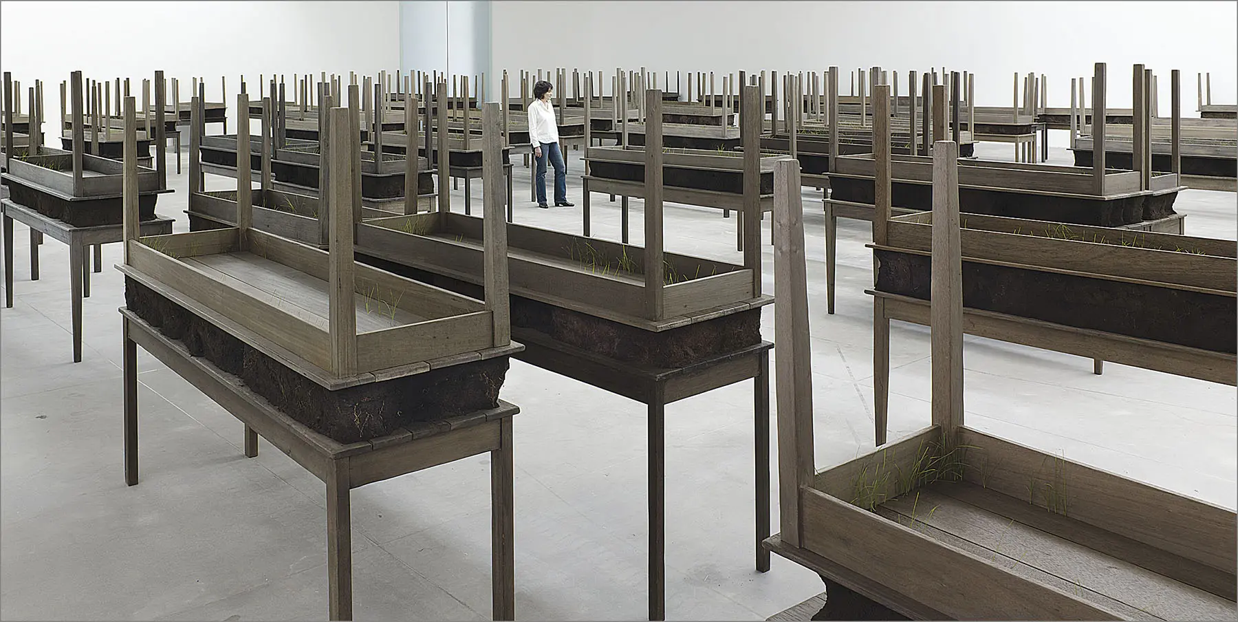 Doris Salcedo