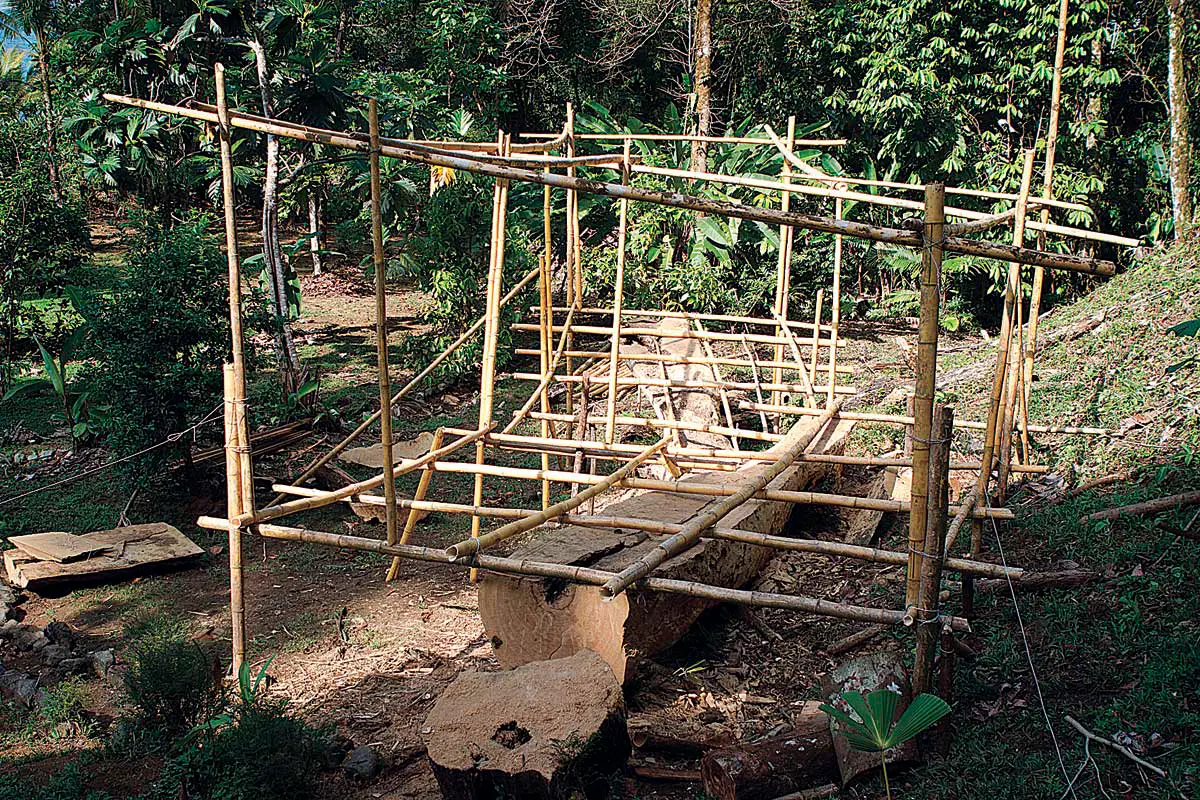 Colectiva: Plataforma Chocó — imagen 3