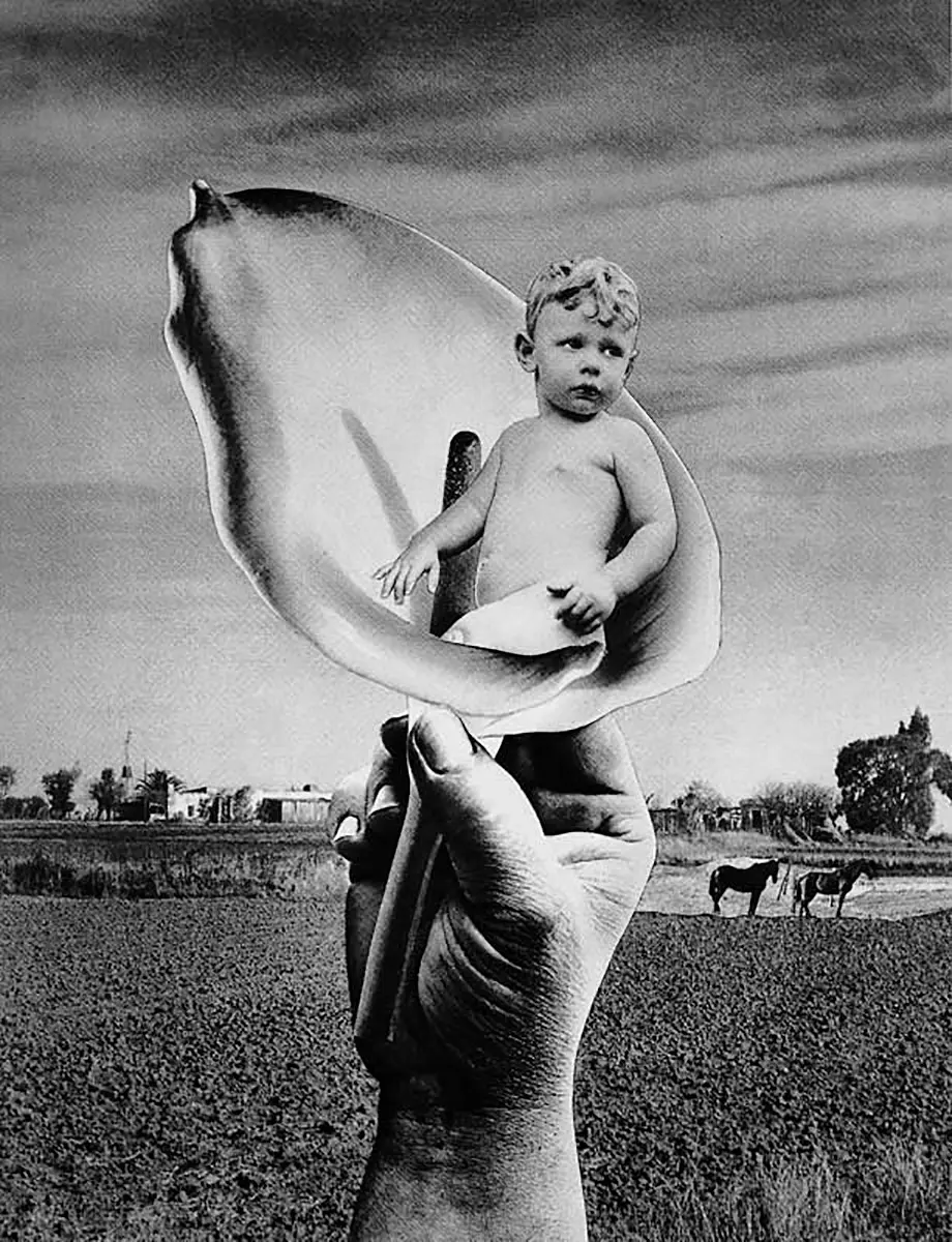 Exposición Individual: Grete Stern — imagen 1