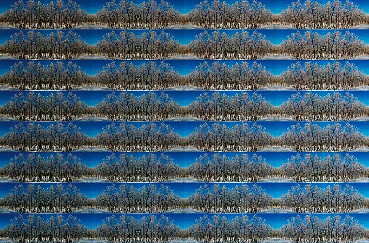 Exposición Individual: Antonio Briceño — imagen 1