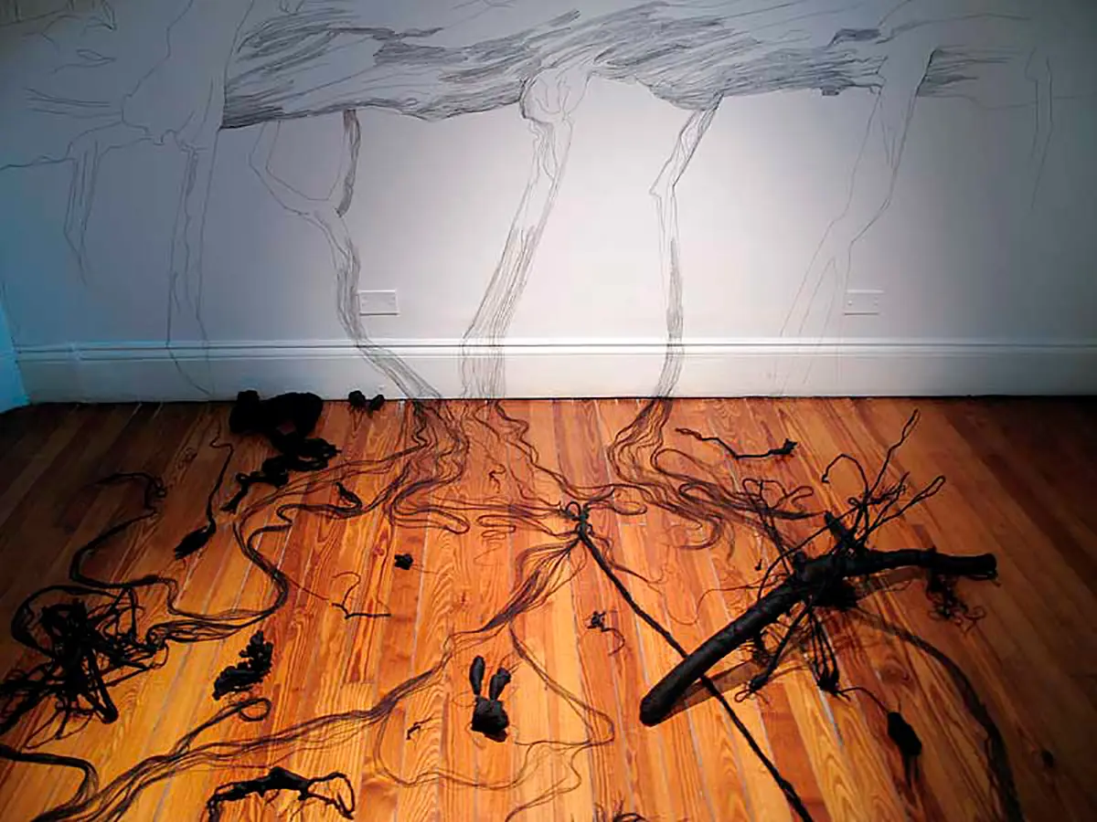 Exposición Individual: Claudia Fontes — imagen 1