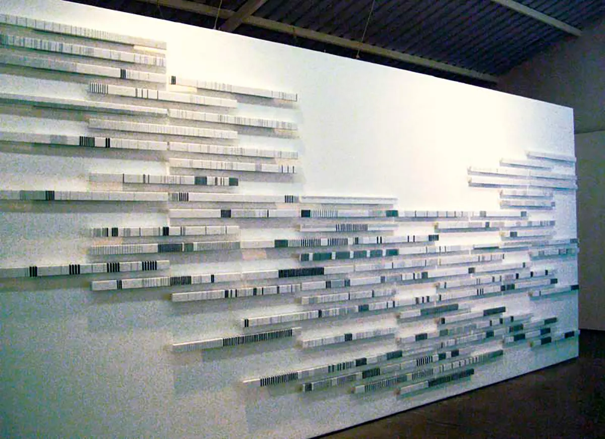 Exposición Individual: Carola Bravo  — imagen 1