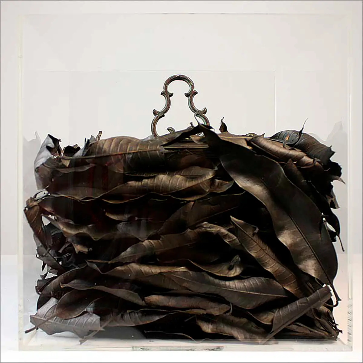 Exposición Individual: José Manuel Fors — imagen 1