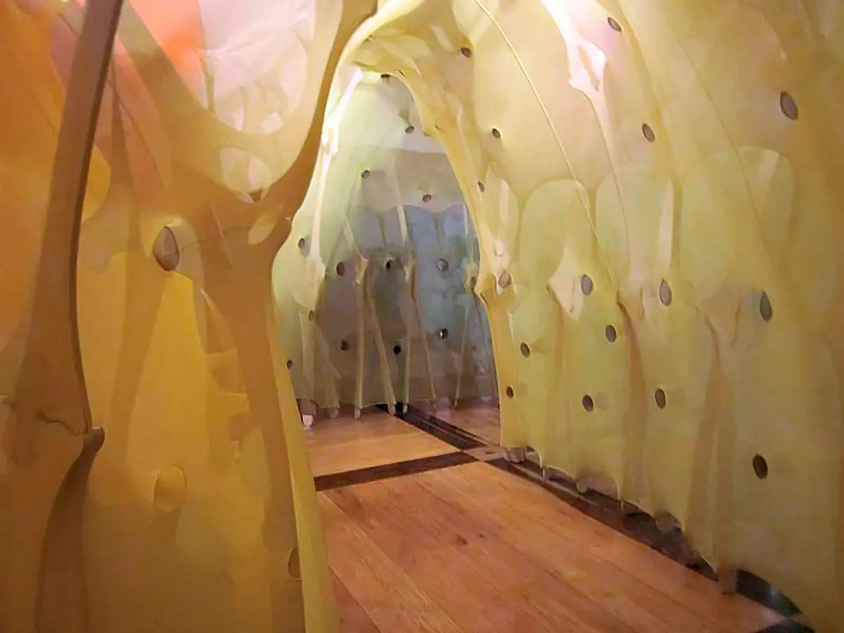 Exposición Individual: Ernesto Neto — imagen 1
