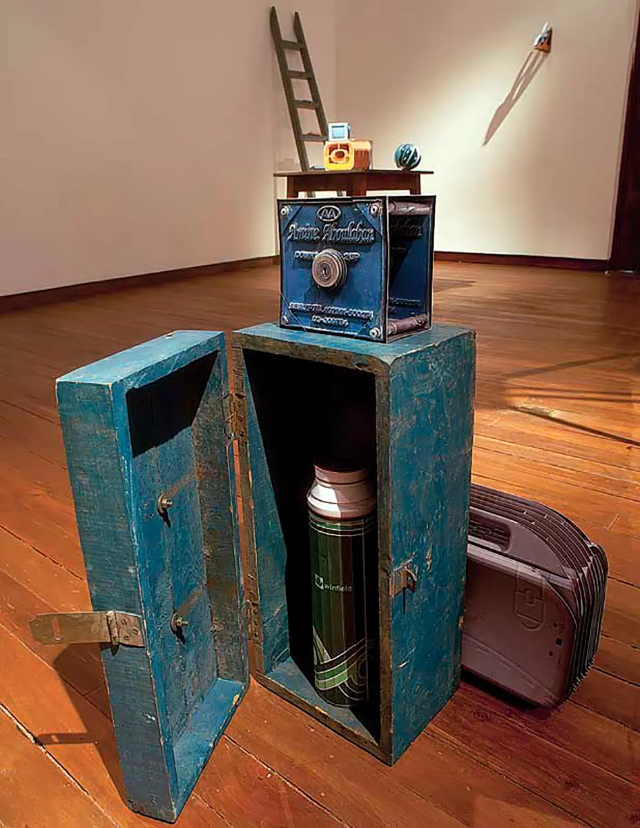 Exposición Individual: Soledad Pinto — imagen 1