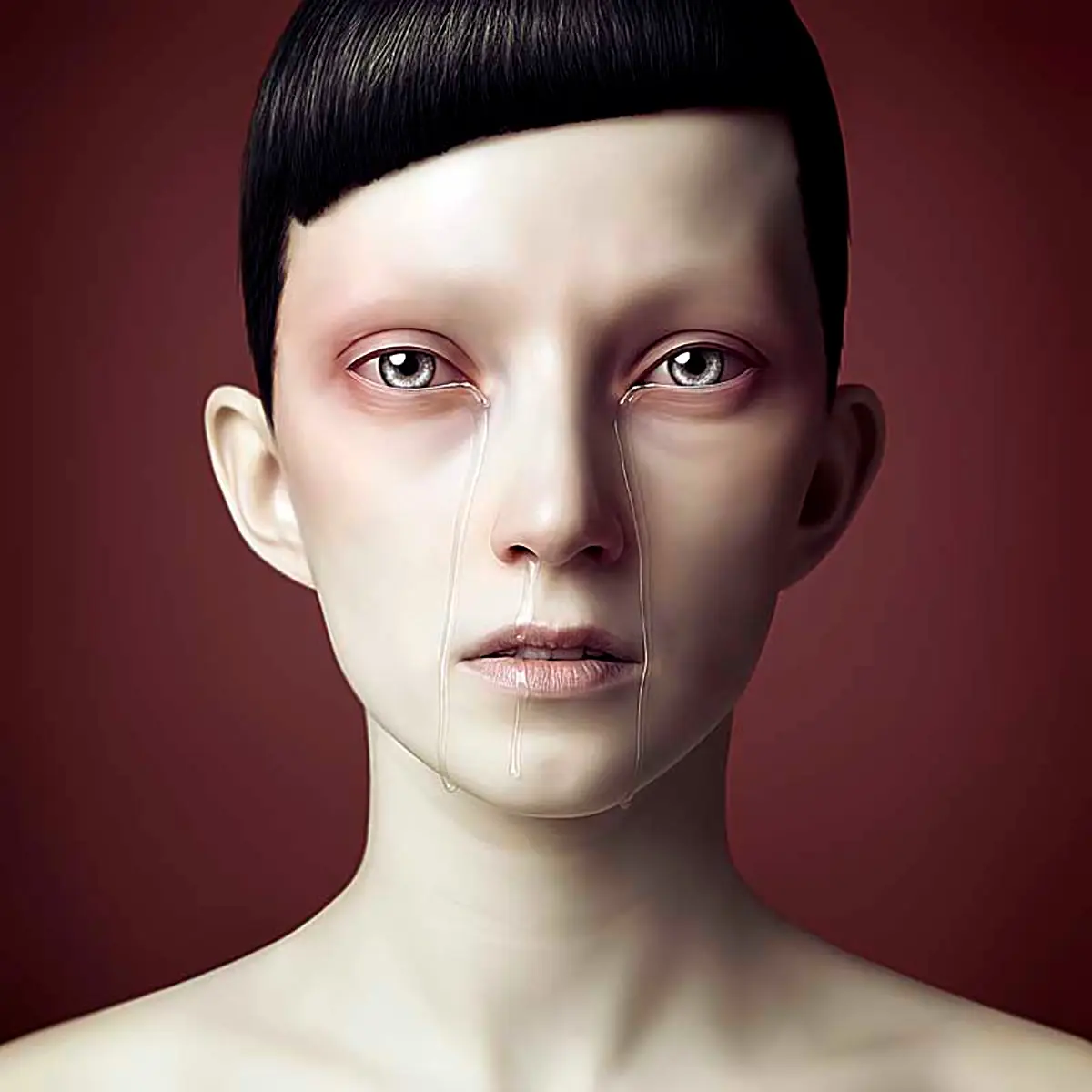 Bienal: FotoFest 2012 — imagen 8