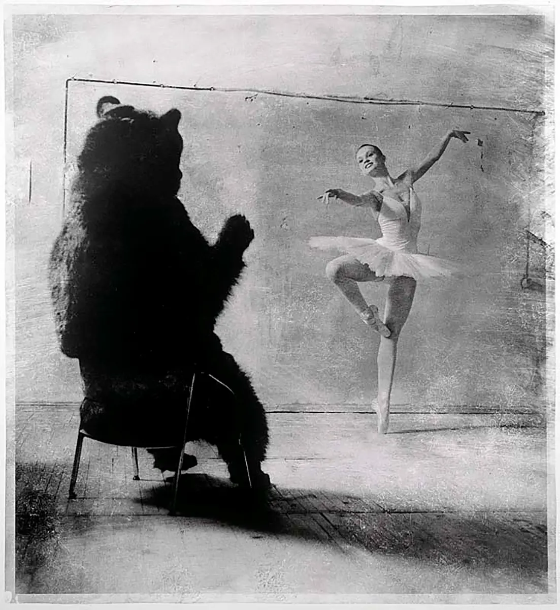 Bienal: FotoFest 2012 — imagen 10