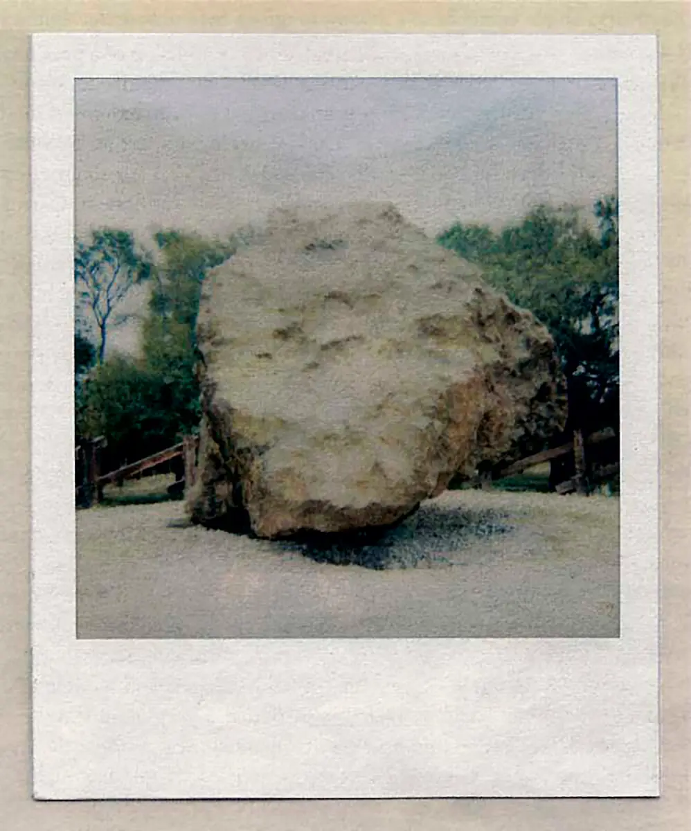 Exposición: dOCUMENTA (13) — imagen 1