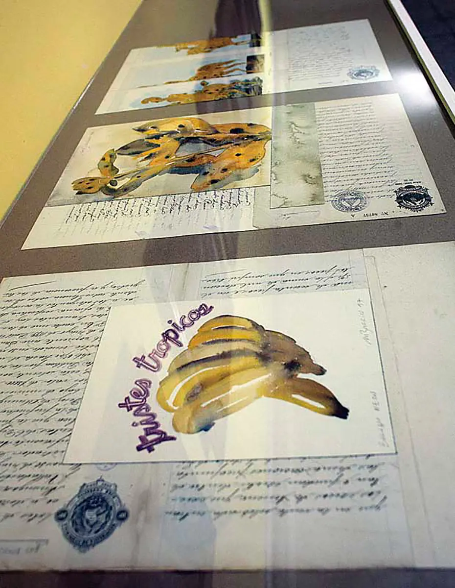 Bienal: XVIII Bienal de Arte Paiz — imagen 6
