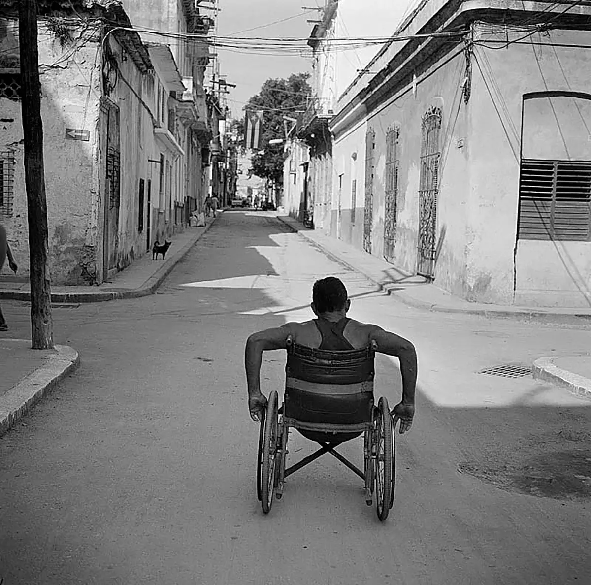 Exposición: PhotoEspaña — imagen 7