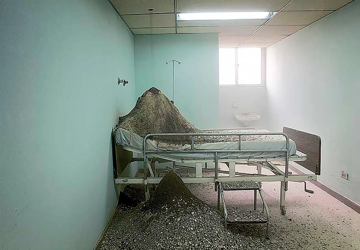 Exposición: María Elvira Escallón y Miguel Ángel Rojas — imagen 1