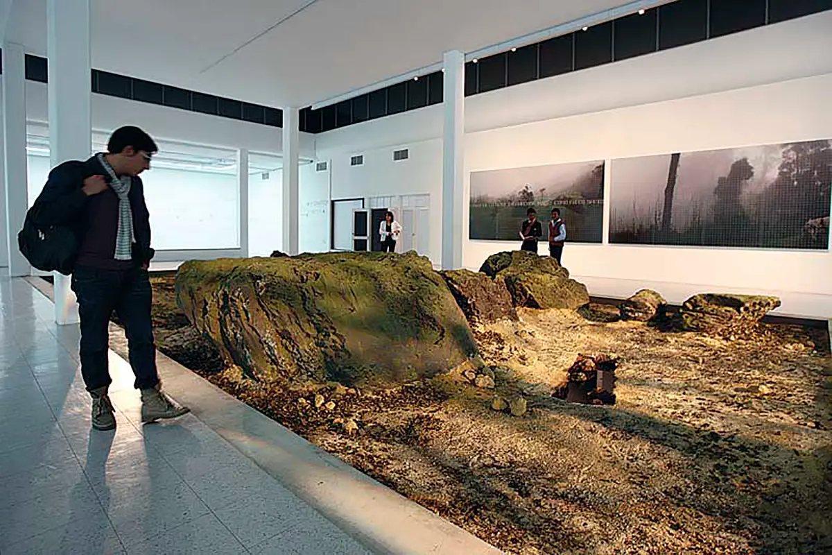 Exposición: María Elvira Escallón y Miguel Ángel Rojas — imagen 3