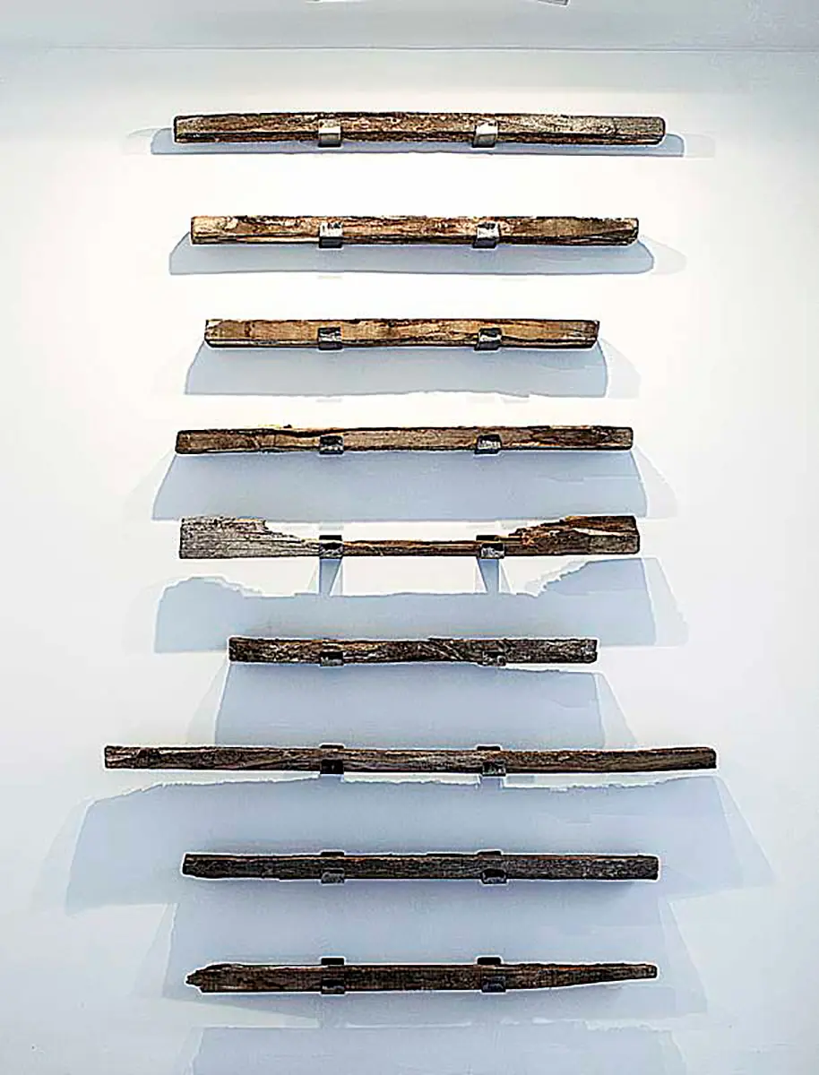 Exposición Individual: José Dávila — imagen 1