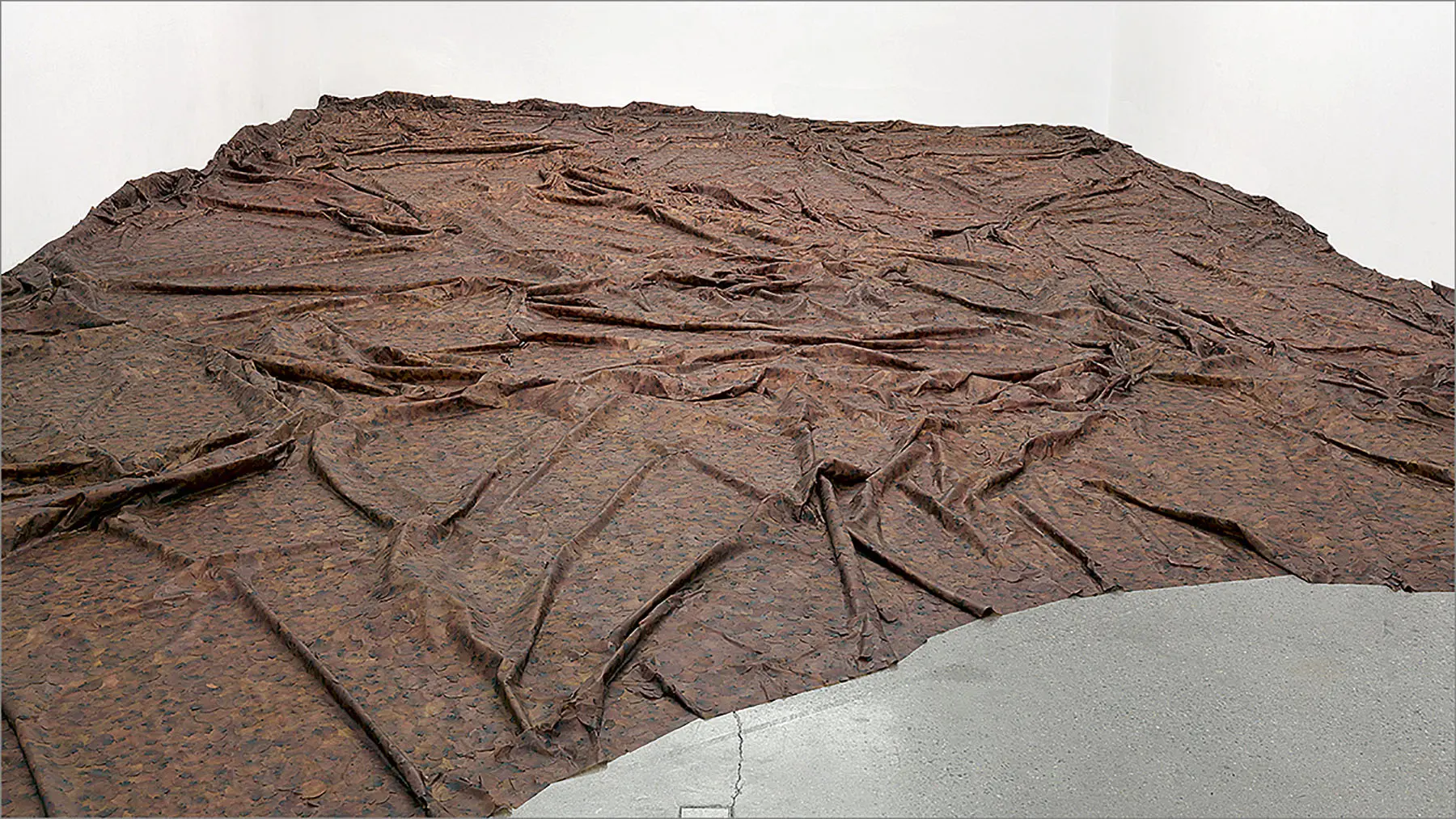 Silencio elocuente. Retrospectiva de la artista colombiana Doris Salcedo