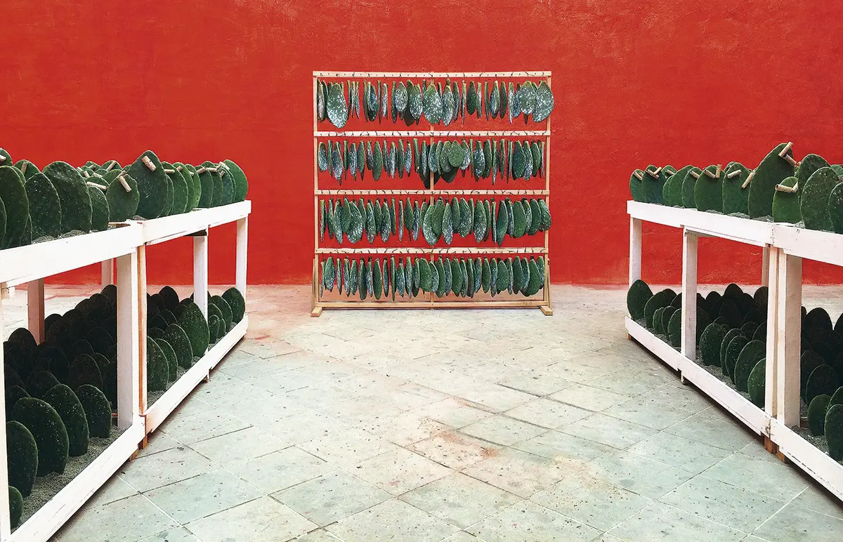 Monografía: Tania Candiani — imagen 3