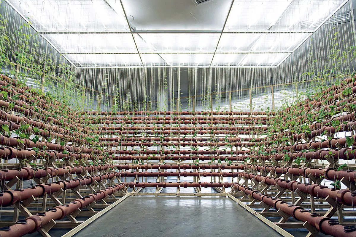 Bienal: 34ª Bienal de São Paulo — imagen 7