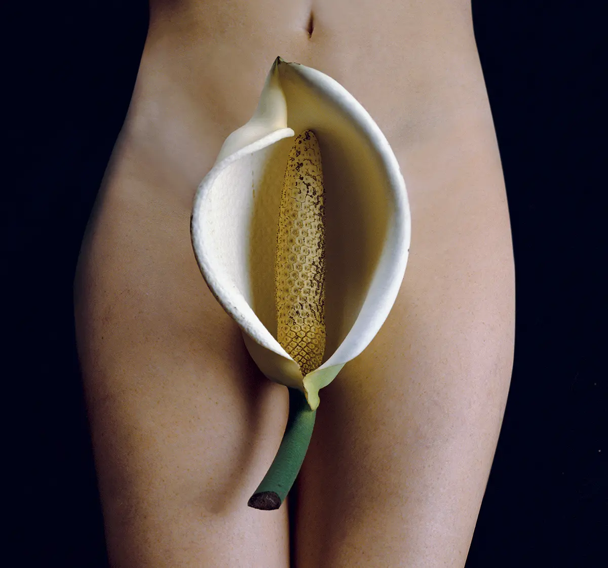 Monografía: Cecilia Paredes — imagen 3