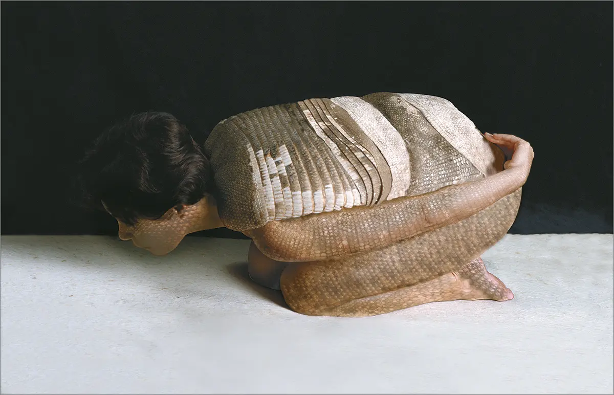 Monografía: Cecilia Paredes — imagen 4