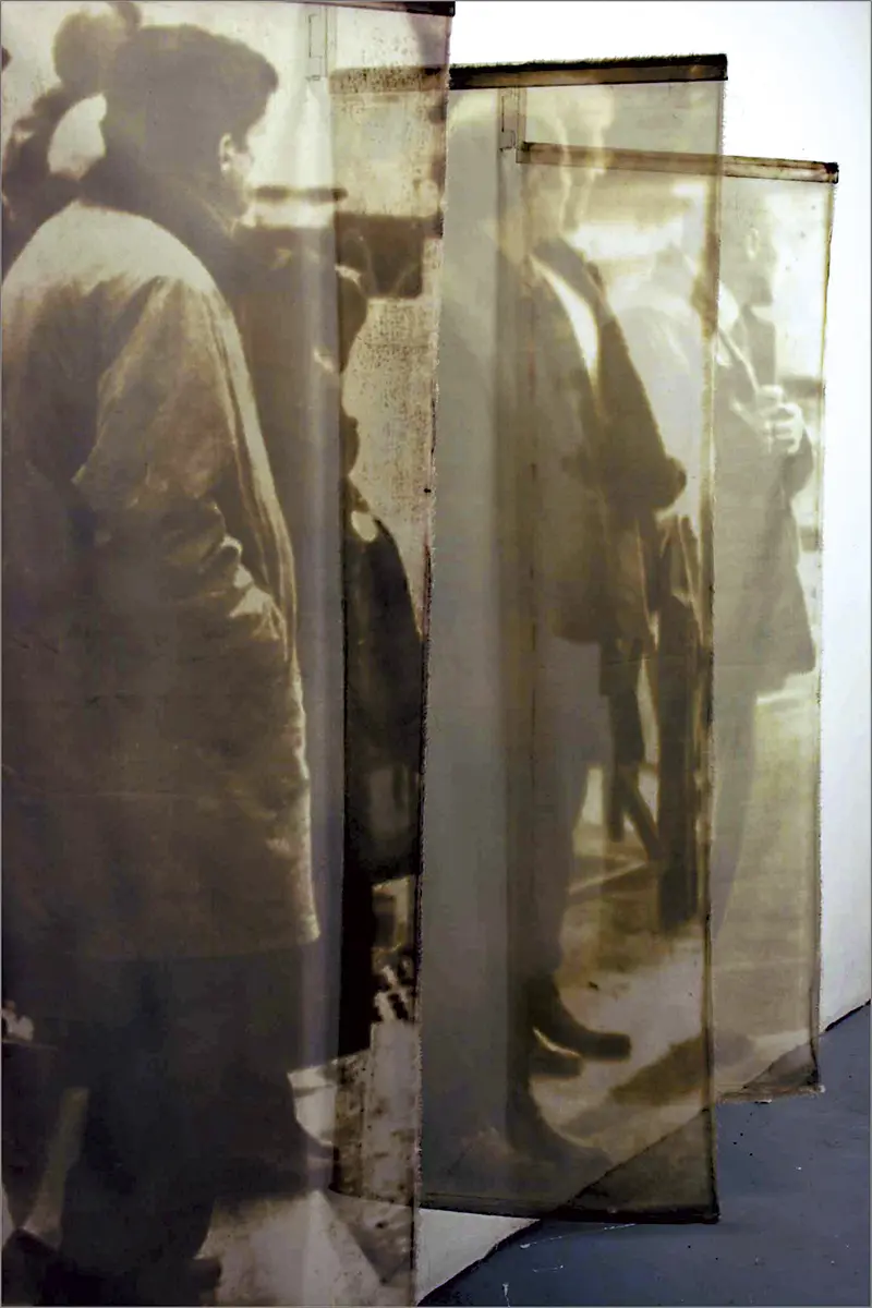 Exposición Individual: Graciela Sacco — imagen 1
