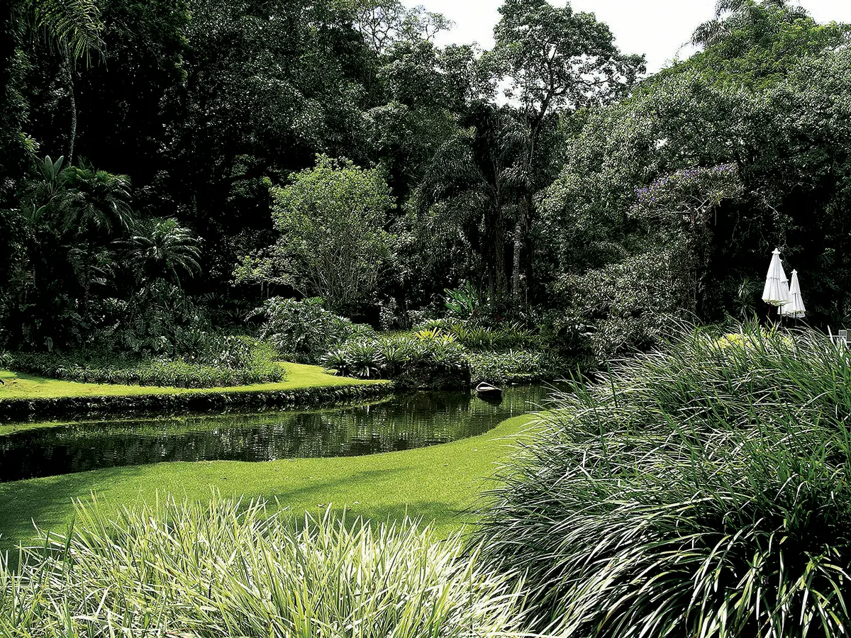 Monografía: Roberto Burle Marx — imagen 4