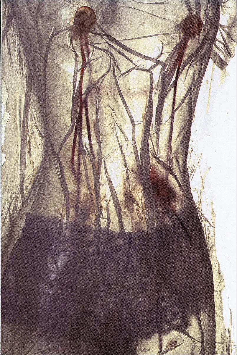 Exposición Individual: Catharina Burman — imagen 1