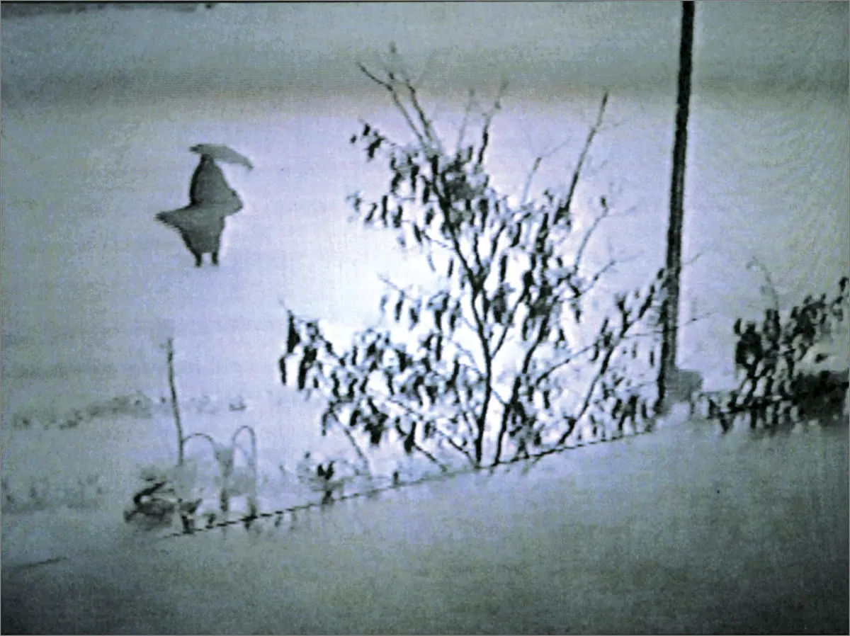 Seifollah Samadian. The White Station, 1999. Film: 35 mm, color, sound (no dialogue), 9 min.