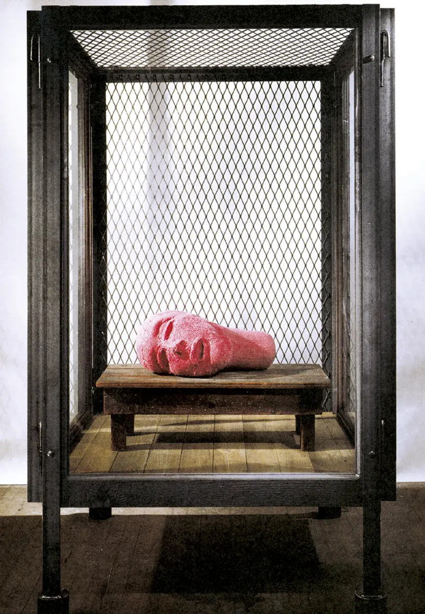 Louise Bourgeois. Cell XXIII (Portrait), 2000. Steel, fabric, wood, glass. 42 x 42 in. (109 x 109 cm.).