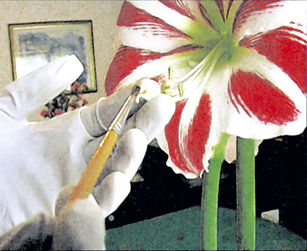 Kutlug Ataman. The 4 Seasons of Veronica Read, 2002. Four-screen video projection.
