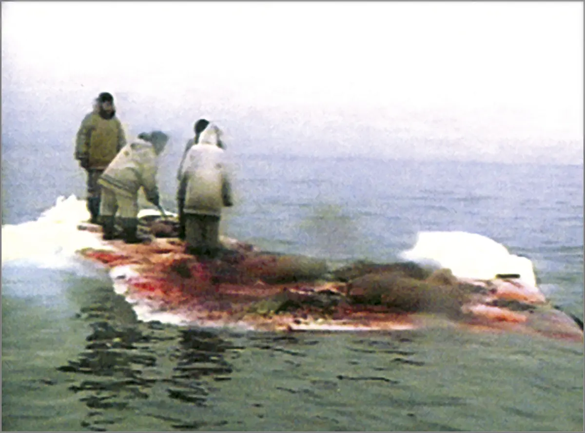 Igloolik Isuma Productions. Nunavut/Our Land, 1995, stills from episode 12: “Unaaq”/ “Harpoon”. Color video, 28 min. 50 sec. Director: Zacharias Kunuk.