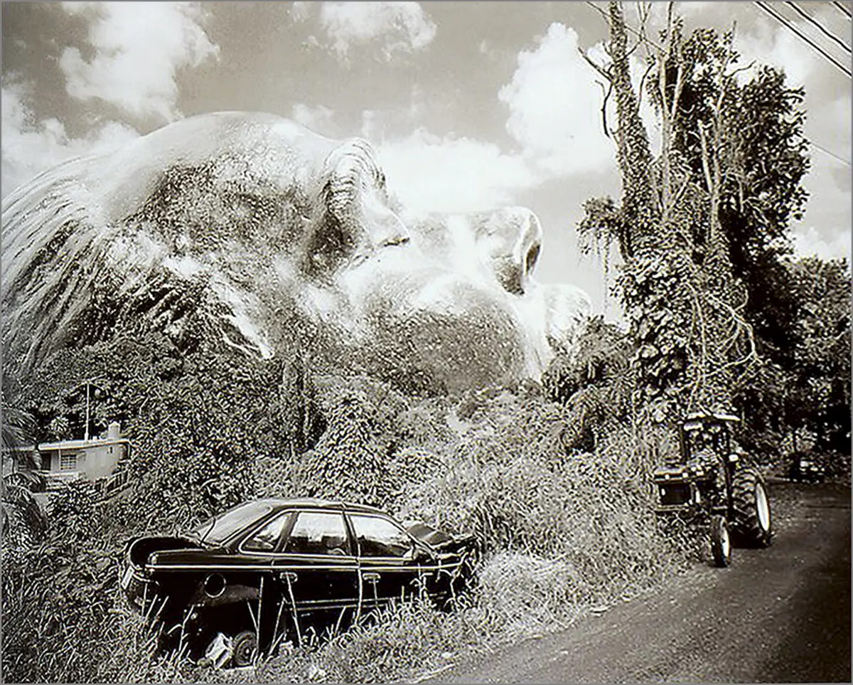Exposición Individual: Manuel Acevedo — imagen 1