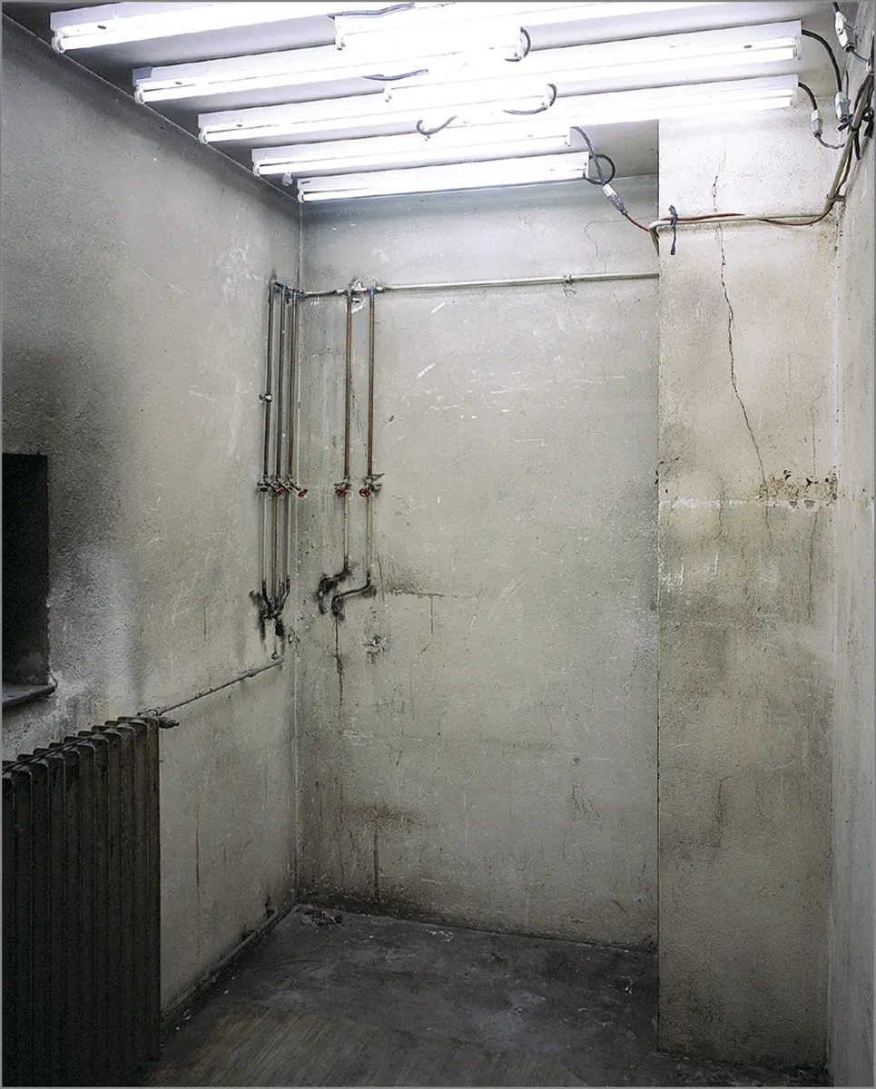 Colectiva: Manifesta 4 — imagen 1