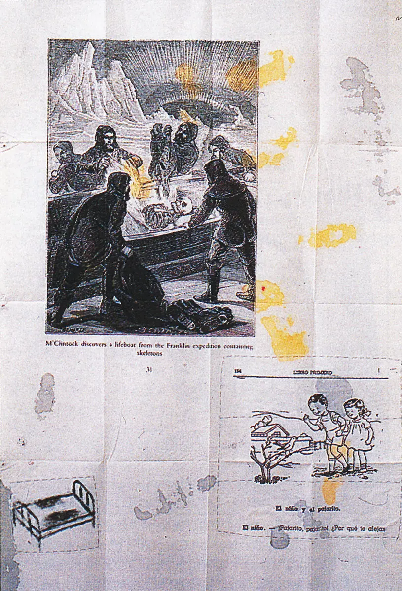 Monografía: Eugenio Dittborn — imagen 1