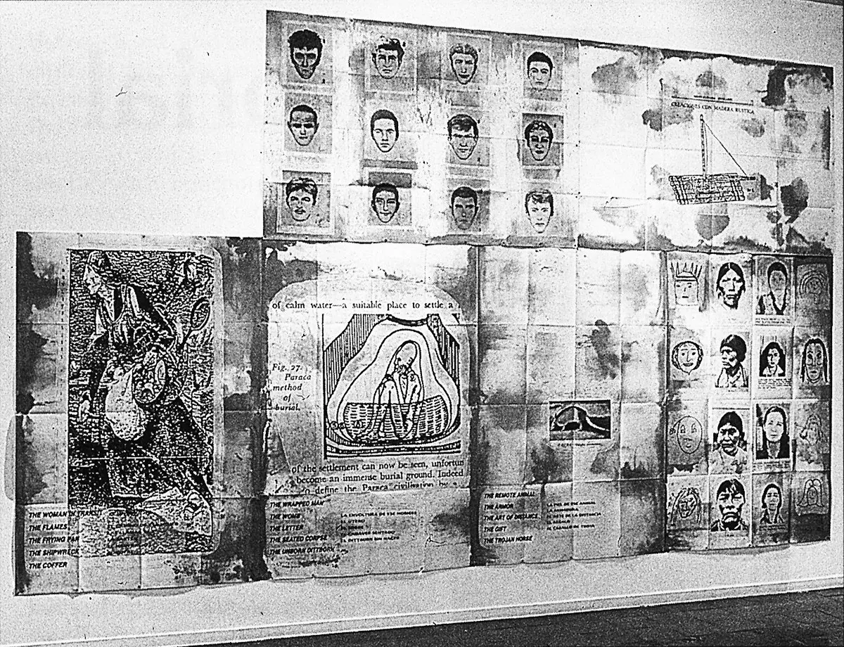 Monografía: Eugenio Dittborn — imagen 4