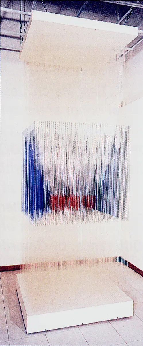 Monografía: Jesús Soto — imagen 3