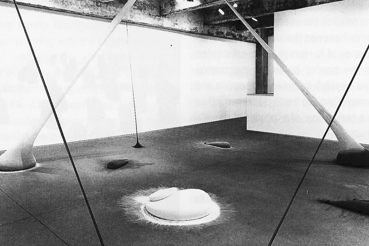 Exposición Individual: Ernesto Neto — imagen 1