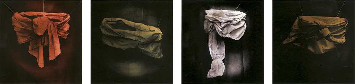 Biennial: 51th Venice Biennial  — imagen 5