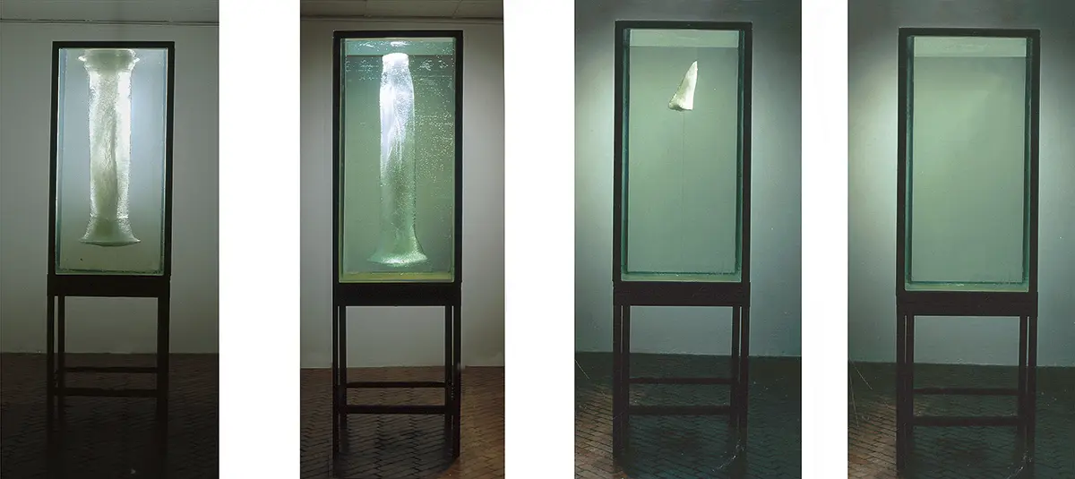 Monografía: María Elvira Escallón — imagen 3