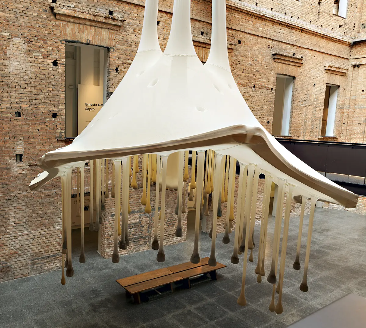 Monografía: Ernesto Neto — imagen 1