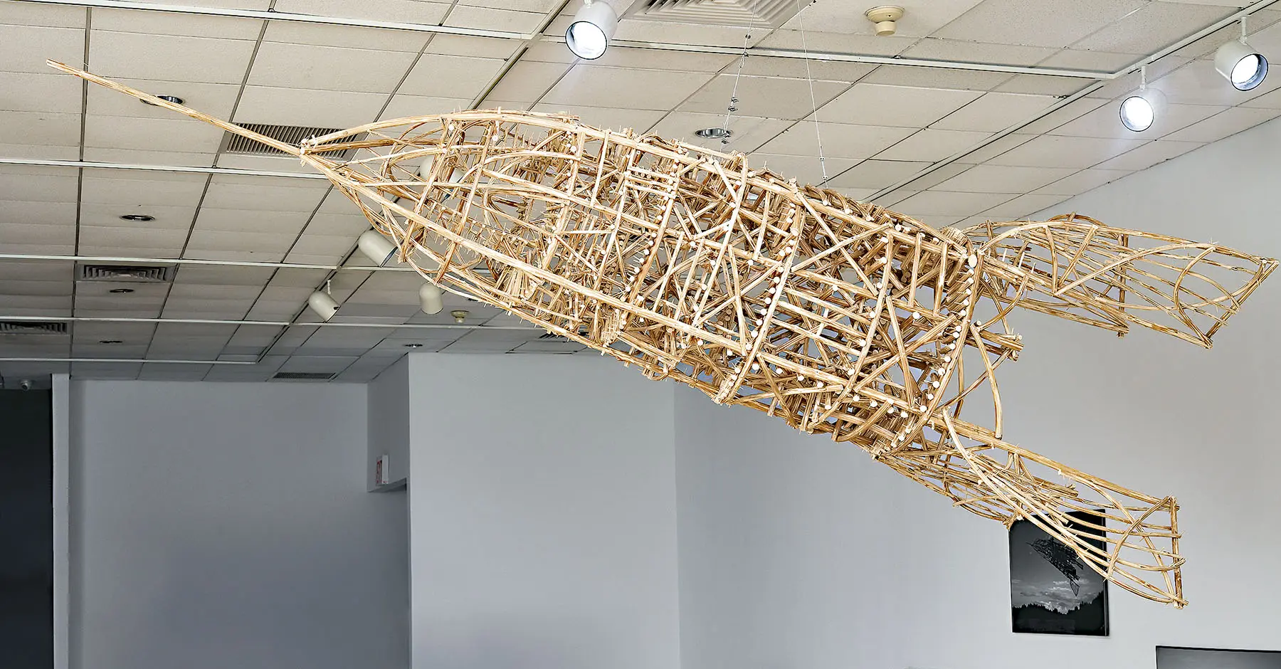 Useless: Machines for Dreaming, Thinking, and Seeing