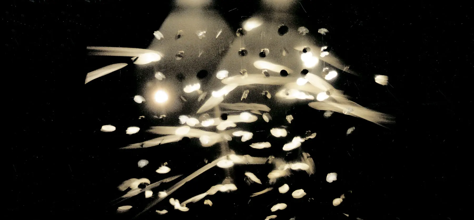 Julio Le Parc