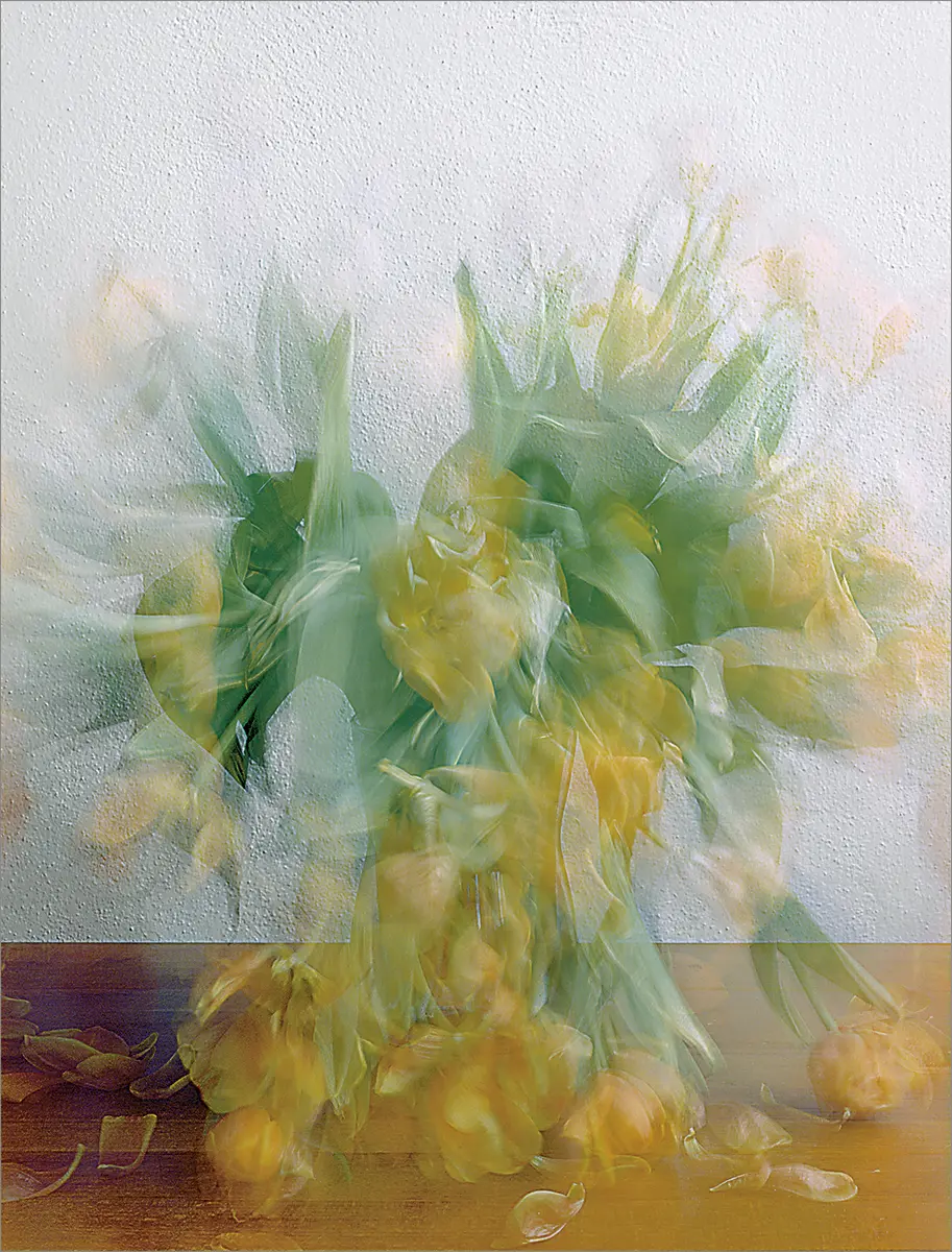 Feria: ArteBA 2005 — imagen 2