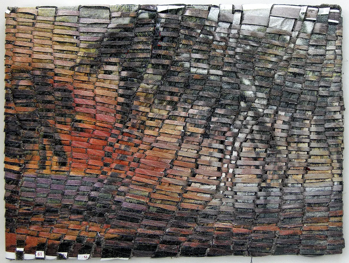 Exposición Individual: Tomás Saraceno y Jarbas Lopes — imagen 2