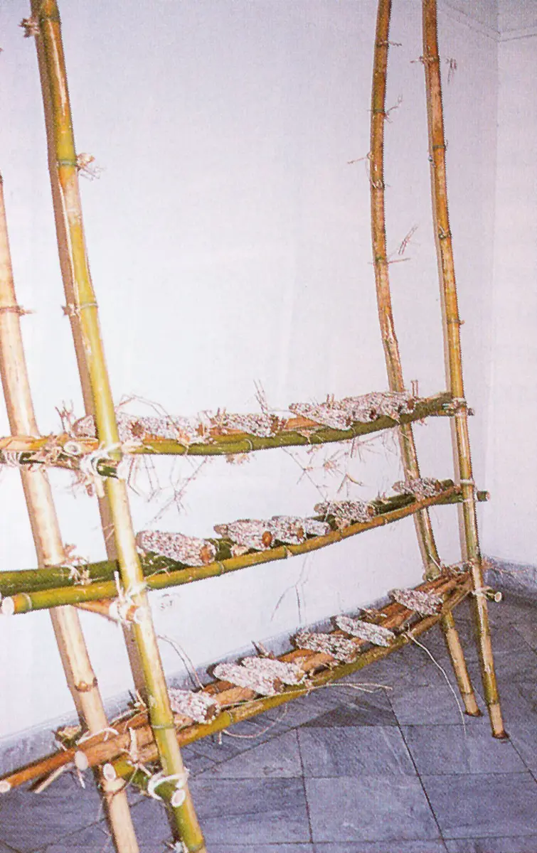 Bienal: La Sexta Bienal de La Habana  — imagen 5