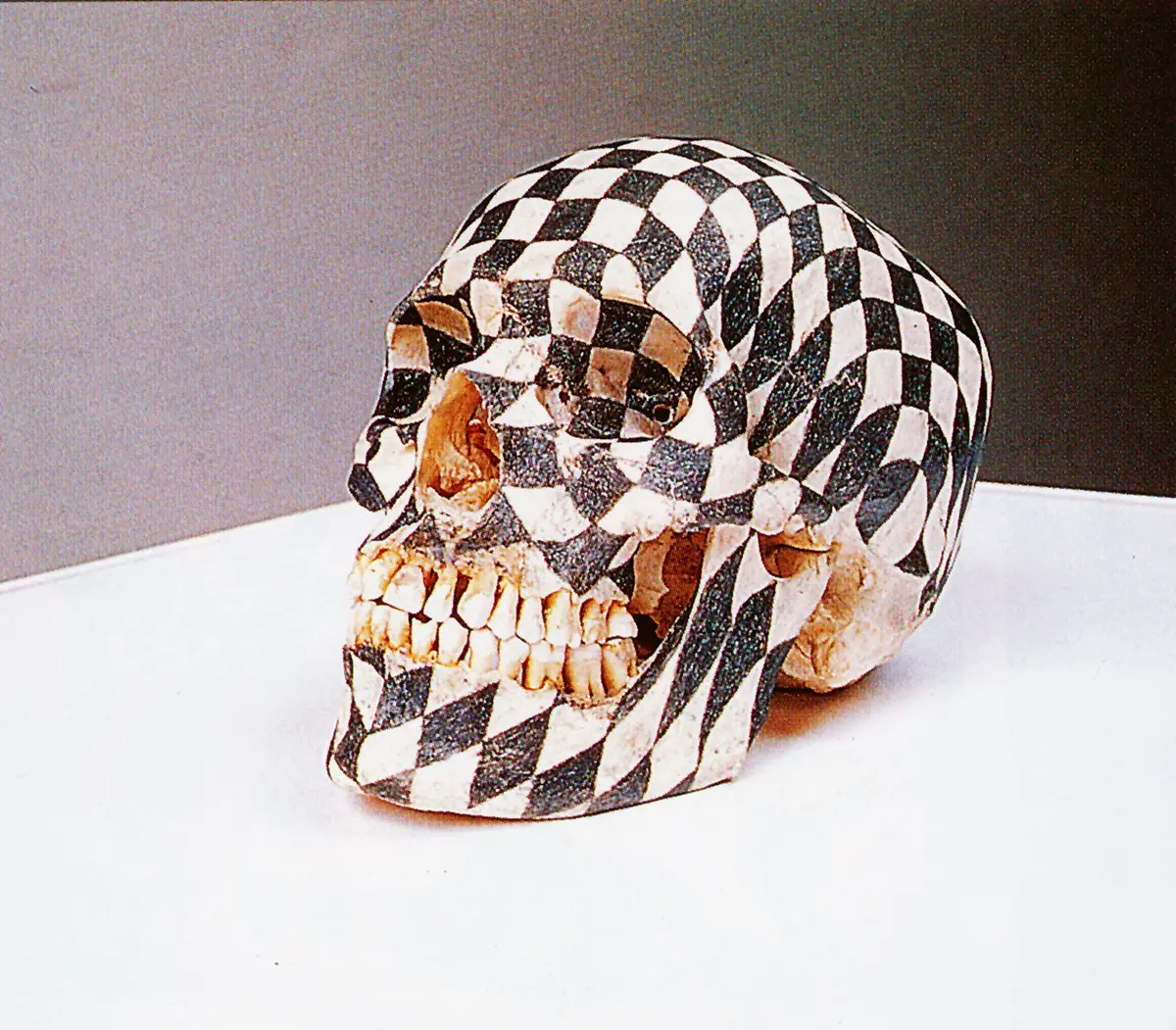 Bienal: Documenta X — imagen 7