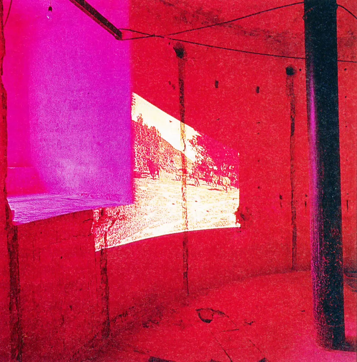 Bienal: Münster’97 — imagen 2